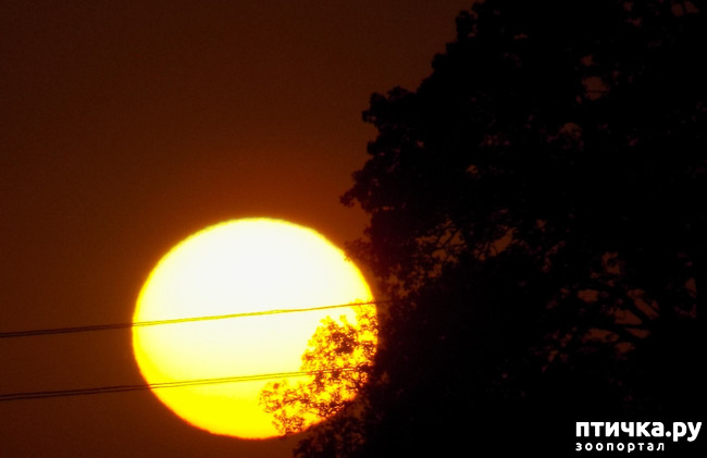 ���� 19: ������� ��������.