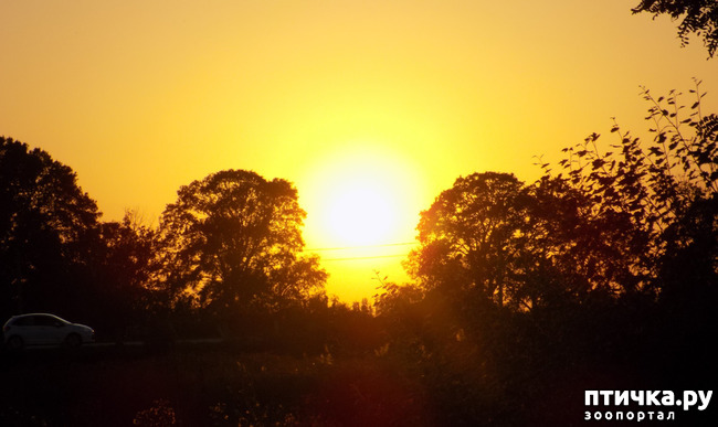 ���� 20: ������� ��������.