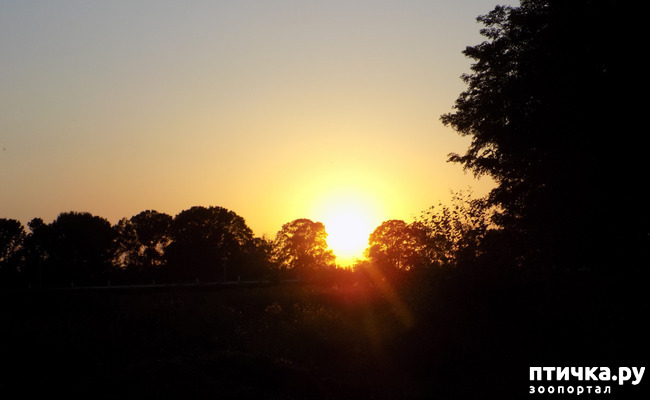 ���� 21: ������� ��������.