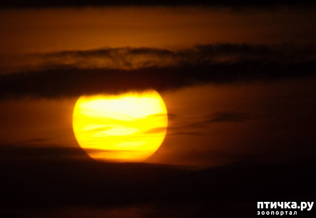 ���� 22: ������� ��������.