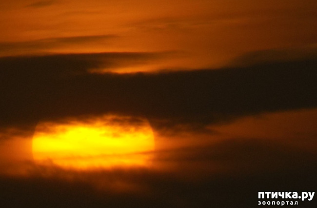 ���� 23: ������� ��������.