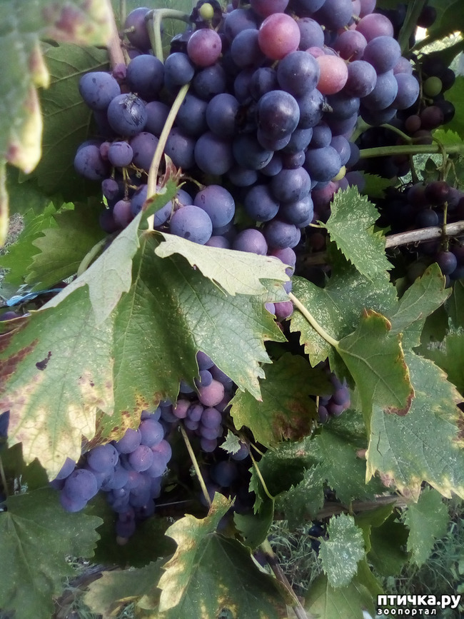 ���� 11: ������� ��������.