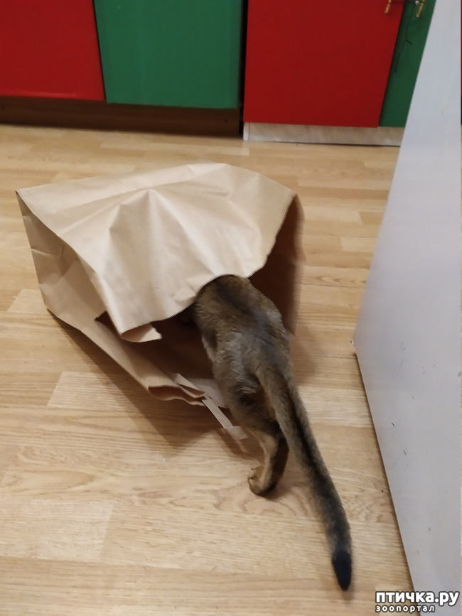 ���� 1: �����