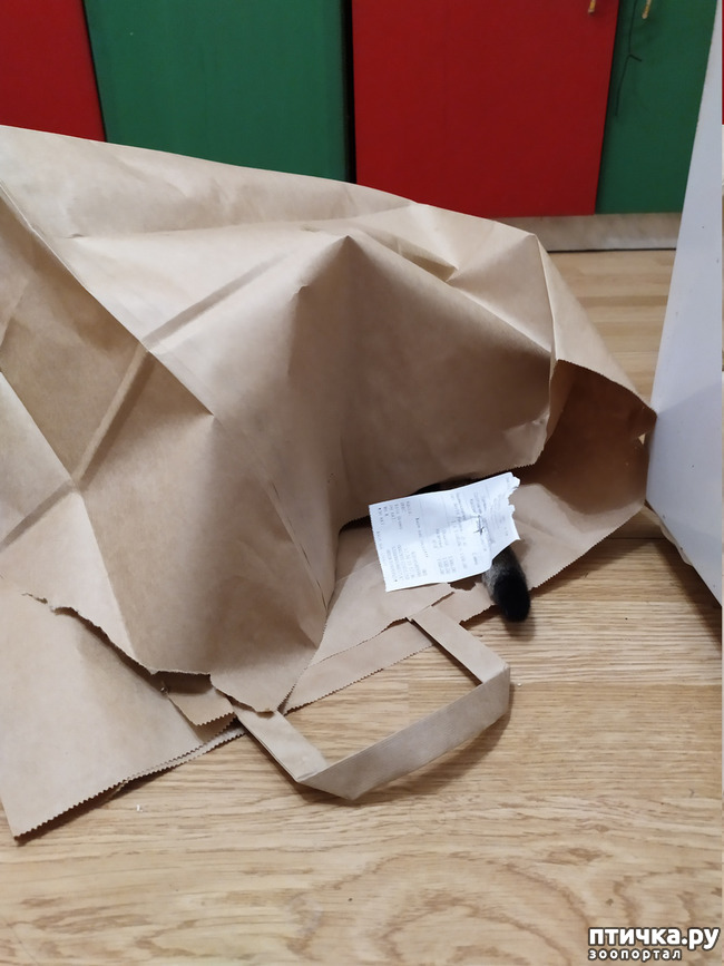 ���� 2: �����