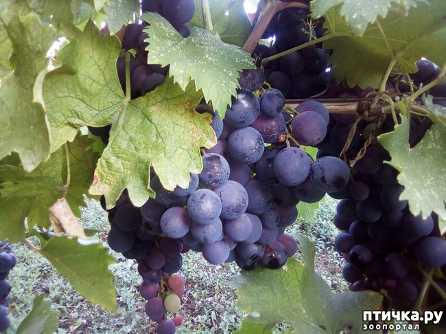 ���� 12: ������� ��������.