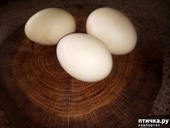 ���� 2: ������� ��������.