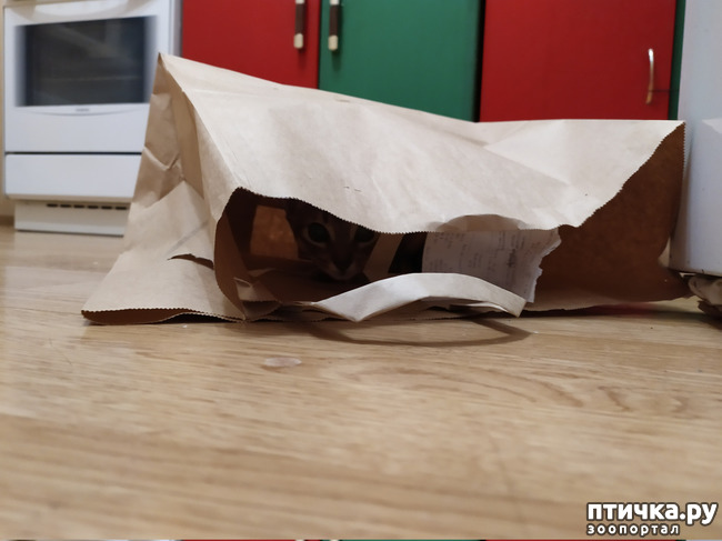 ���� 3: �����