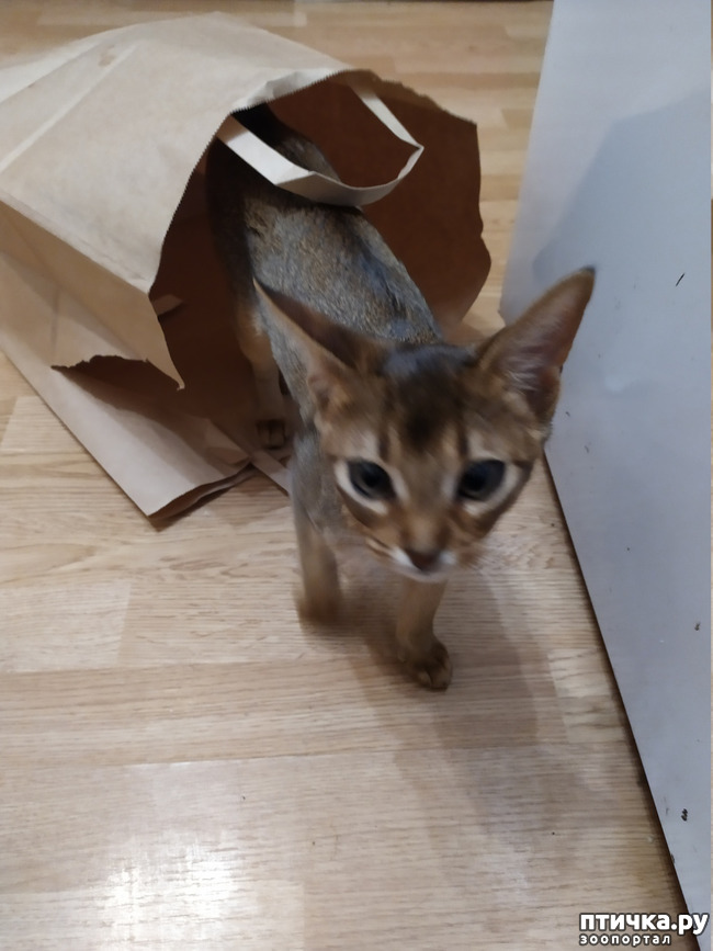 ���� 4: �����