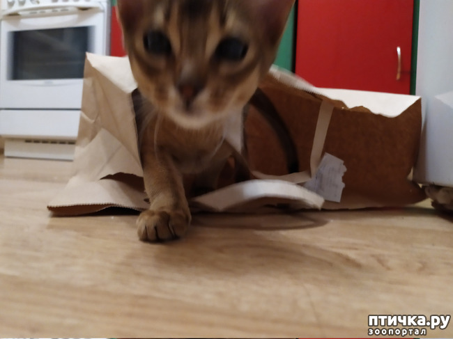 ���� 5: �����