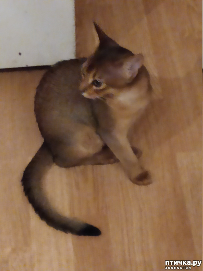 ���� 6: �����