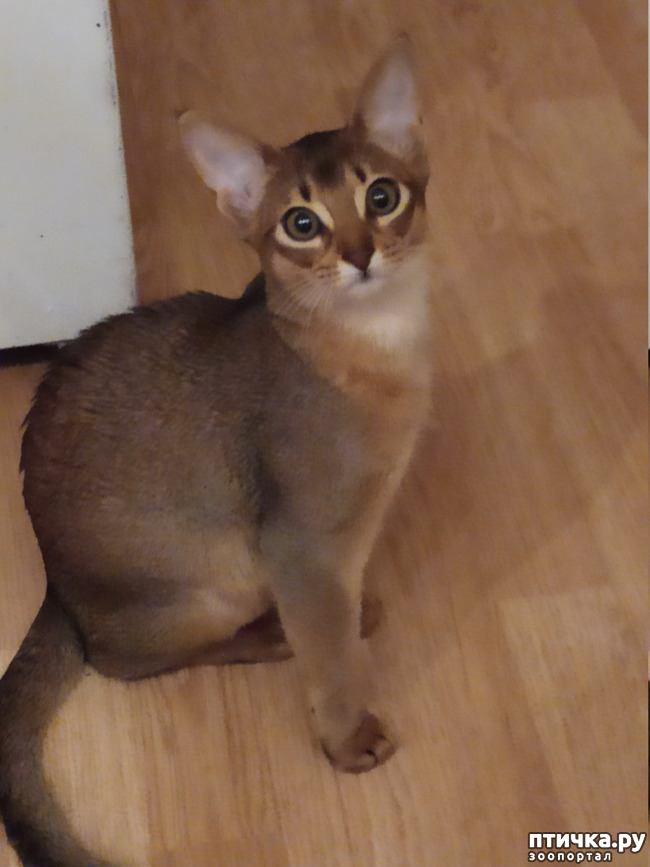 ���� 7: �����