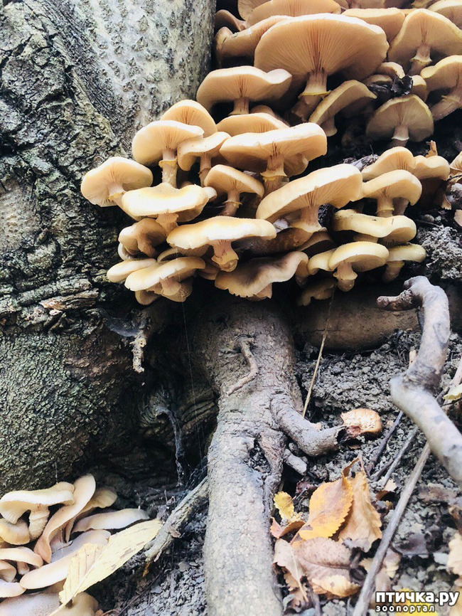 ���� 4: ������� ��������.