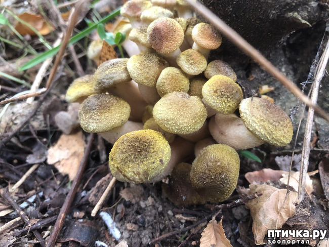 ���� 5: ������� ��������.