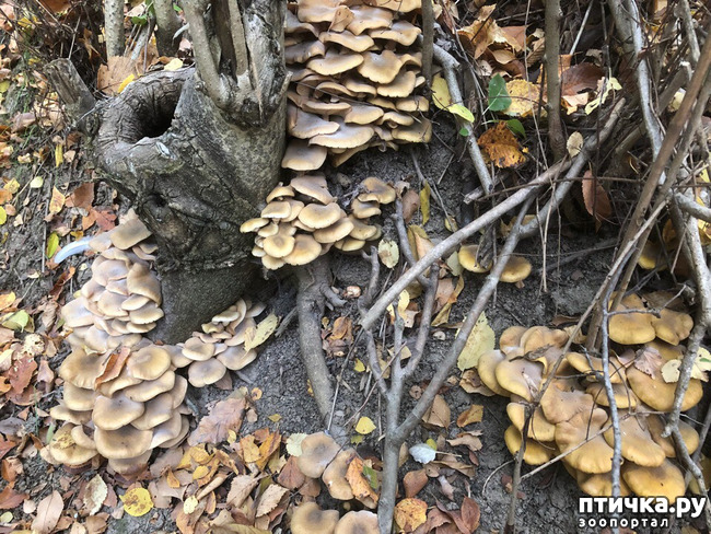 ���� 6: ������� ��������.