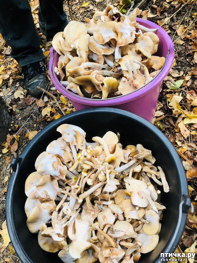 ���� 7: ������� ��������.