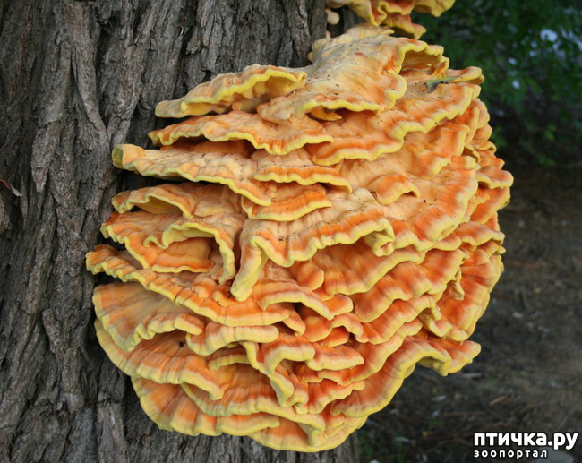 ���� 8: ������� ��������.