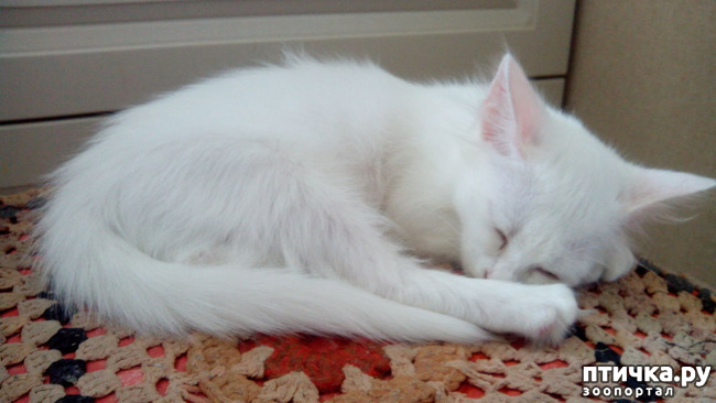 ���� 1: ��� �����-��������