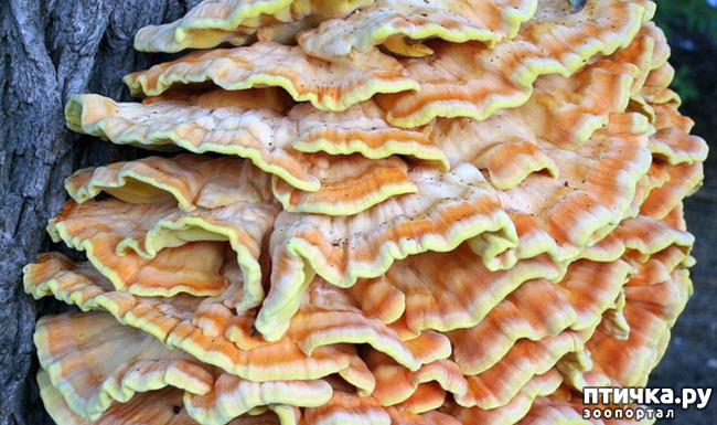 ���� 9: ������� ��������.