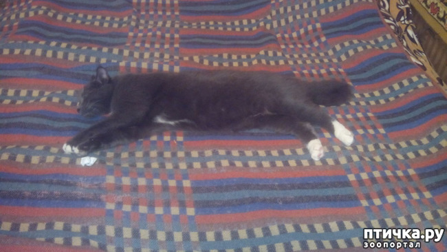 ���� 2: ��� �����-��������