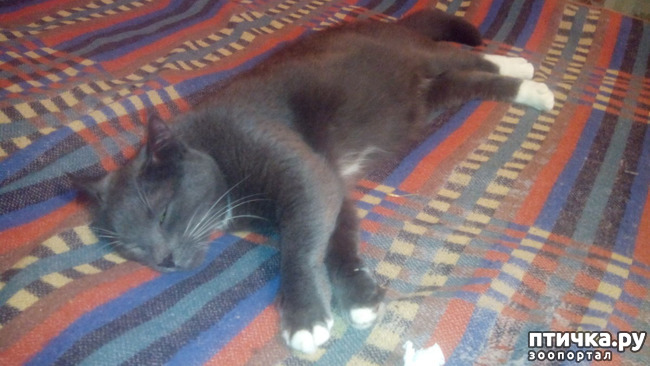 ���� 3: ��� �����-��������