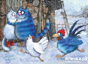 ����: ��� ����� ����� ����� �����.