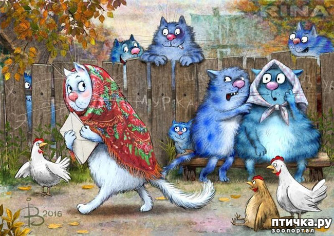 фото 4: Мир синих котов Ирины Зенюк.