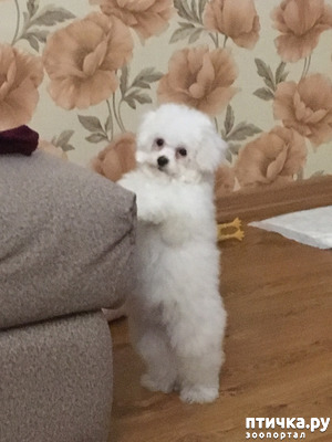 ����: ����� �����