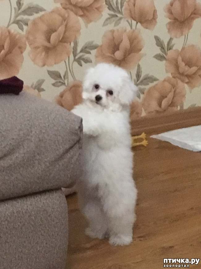 ���� 1: ����� �����