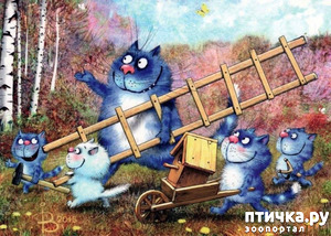 ����: ������ �������������...