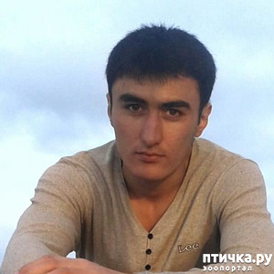 ����: ����� � � ������. �����. ������. �����������.