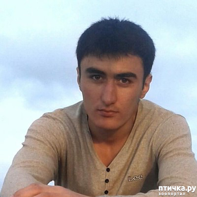 ���� 1: ����� � � ������. �����. ������. �����������.