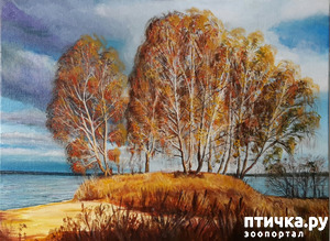 ����: ����� �� � ��� ��� ��� ����