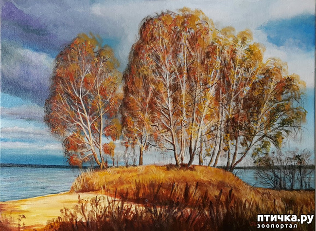 ���� 1: ����� �� � ��� ��� ��� ����