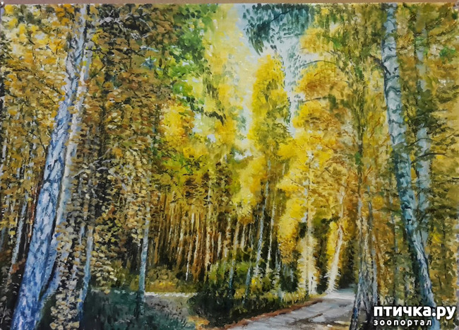 ���� 2: ����� �� � ��� ��� ��� ����