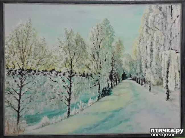 ���� 3: ����� �� � ��� ��� ��� ����