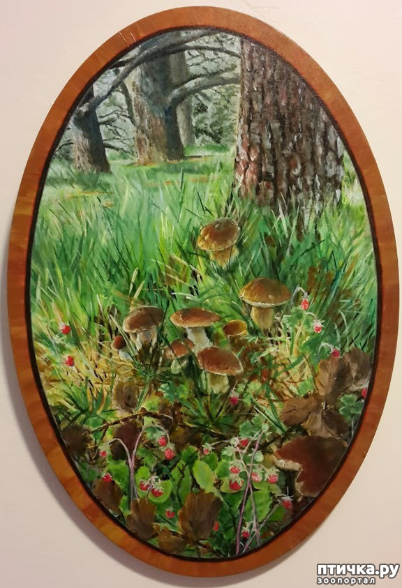 ���� 4: ����� �� � ��� ��� ��� ����