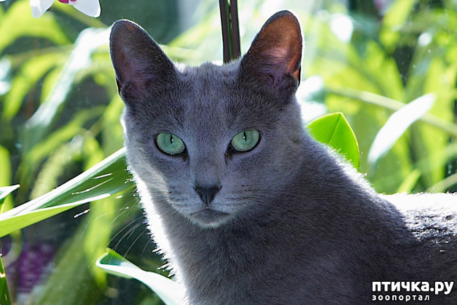 ���� 1: ������, ������� ��� ��� ��������, ������ ���������!