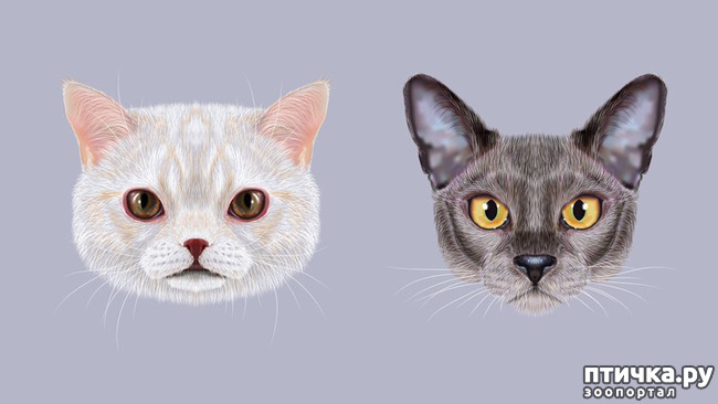 ���� 2: ������, ������� ��� ��� ��������, ������ ���������!