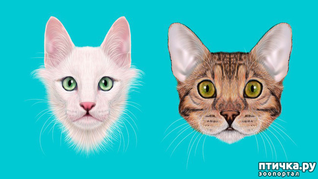 ���� 4: ������, ������� ��� ��� ��������, ������ ���������!