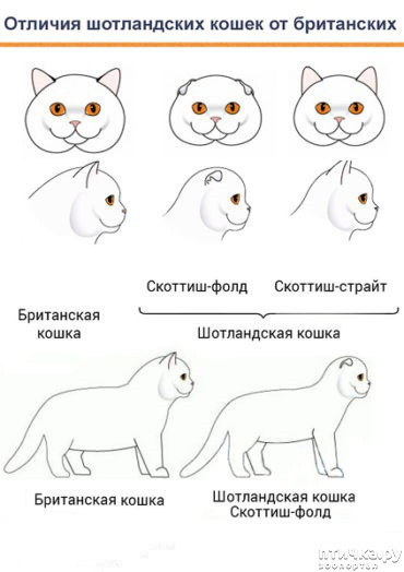 ���� 5: ������, ������� ��� ��� ��������, ������ ���������!