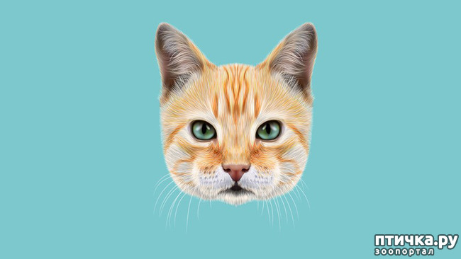 ���� 7: ������, ������� ��� ��� ��������, ������ ���������!