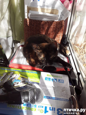 ����: ������ �� ���������