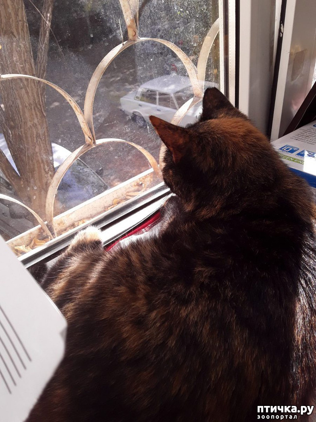 ���� 3: ������ �� ���������