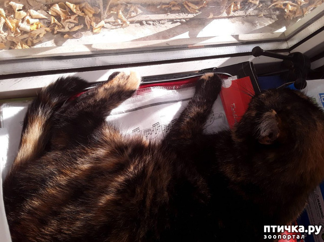 ���� 4: ������ �� ���������