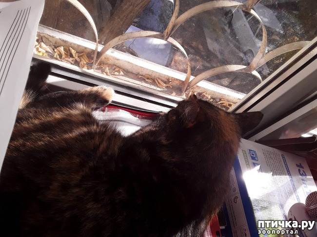 ���� 5: ������ �� ���������