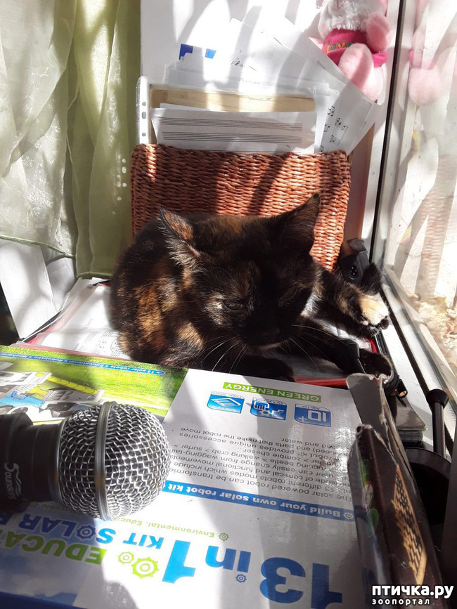 ���� 2: ������ �� ���������