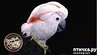 ���� 1: � �� ������?