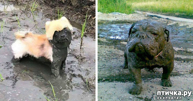 ���� 3: ���������� - ���������� ���� :-)