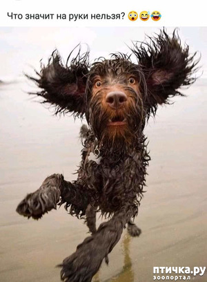 ����: ���������� - ���������� ���� :-)