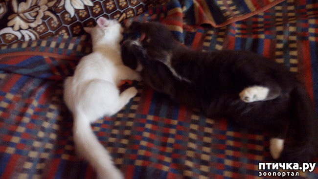 ���� 1: ���, ���, ���, ������, ���� - ������� ���� ������!